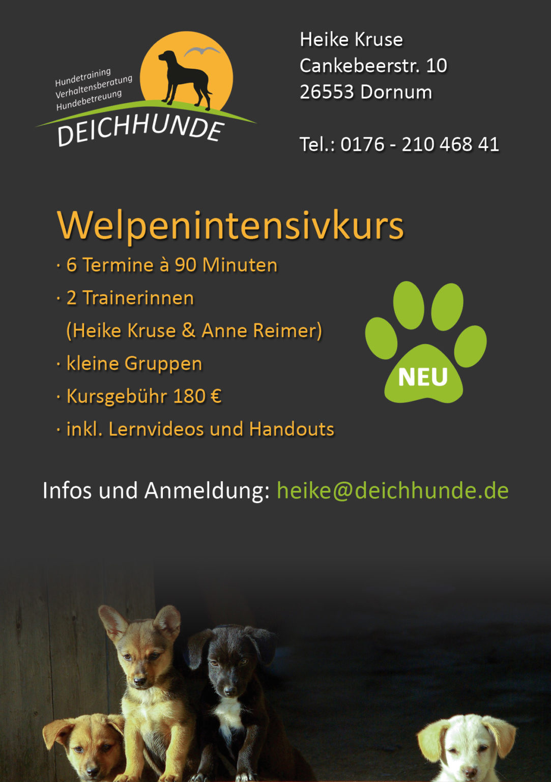 Hundetraining Deichhunde